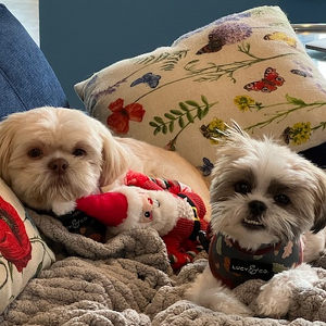 Fundraising Page: Francine Way